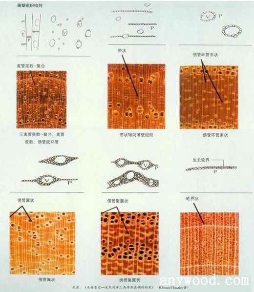 批木网 anywood.com