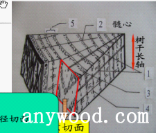 批木网 anywood.com