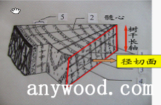 批木网 anywood.com