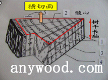 批木网 anywood.com