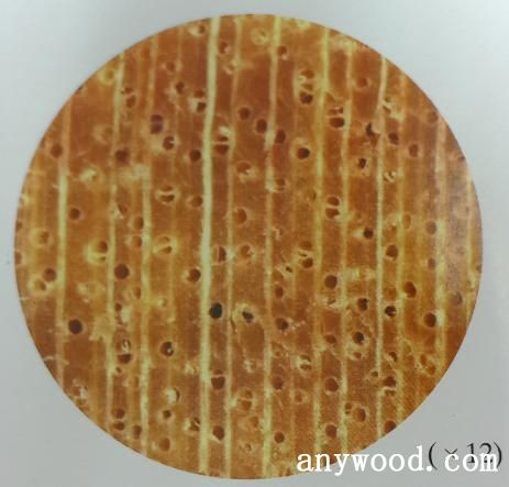 批木网 anywood.com