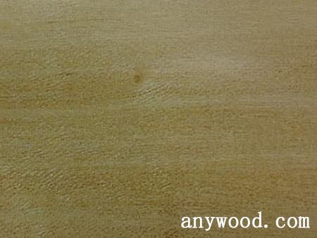 批木网 anywood.com