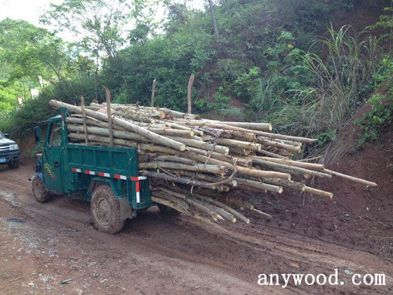 批木网 anywood.com