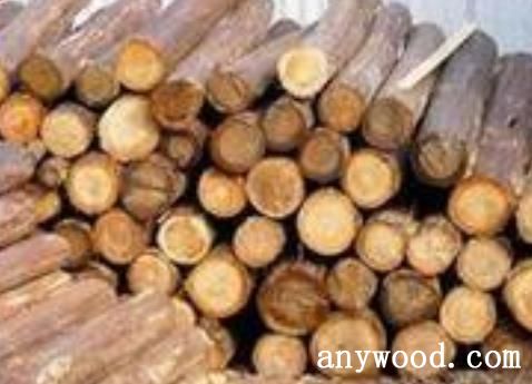 批木网 anywood.com