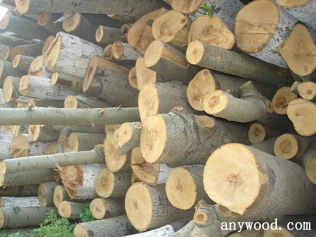 批木网 anywood.com