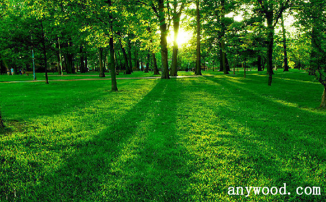 批木网 anywood.com
