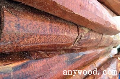 批木网 anywood.com