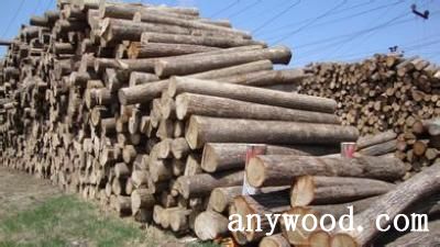 批木网 anywood.com