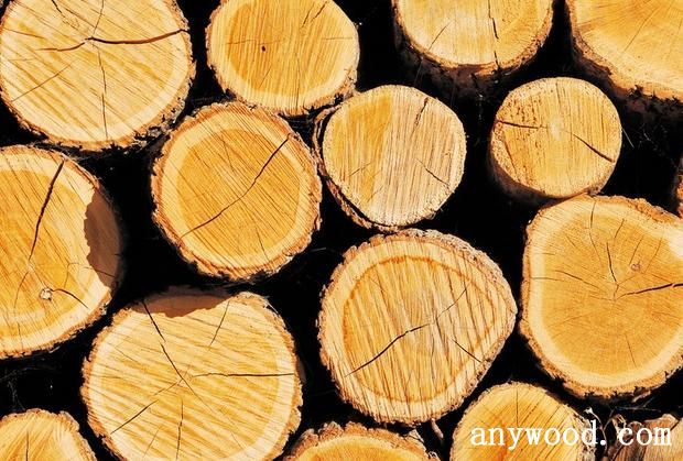 批木网 anywood.com