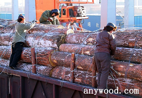 批木网 anywood.com