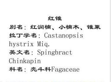 批木网 anywood.com
