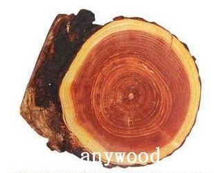 批木网 anywood.com