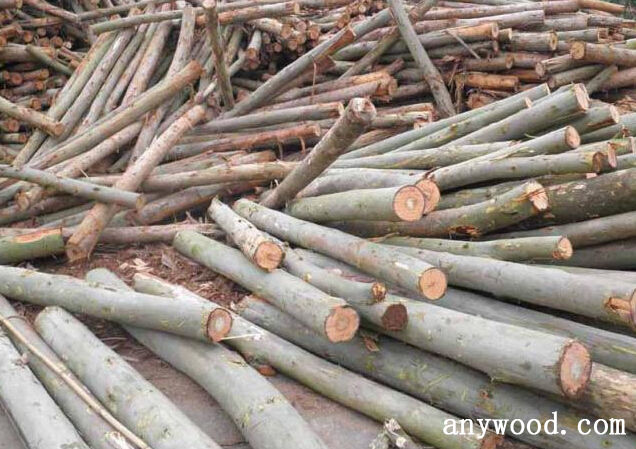 批木网 anywood.com