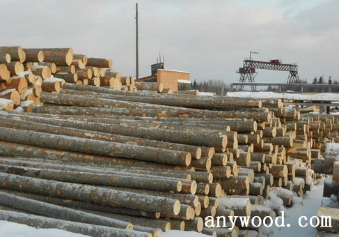 批木网 anywood.com