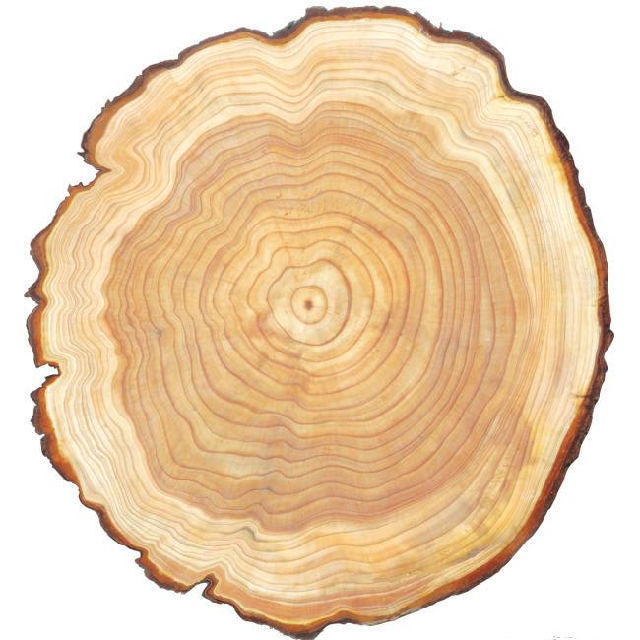 批木网 anywood.com