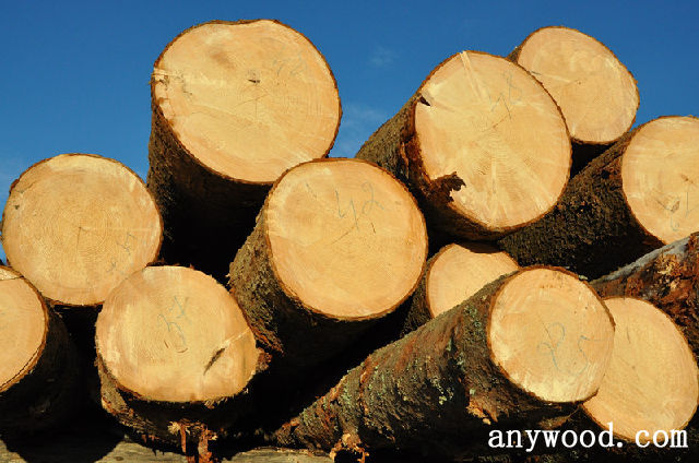 批木网 anywood.com