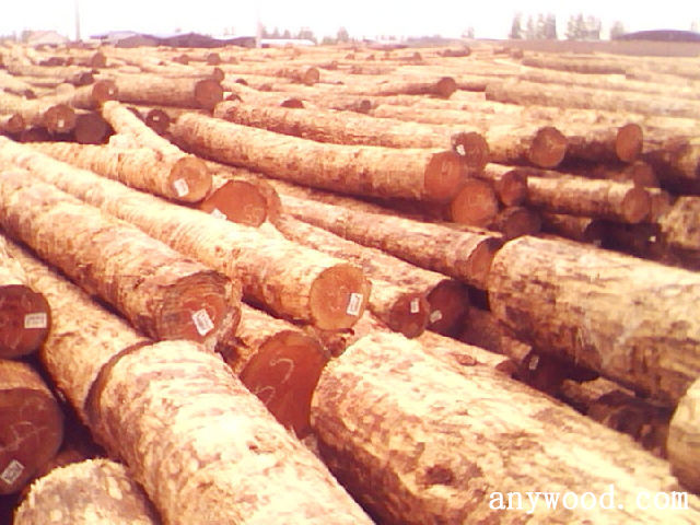批木网 anywood.com