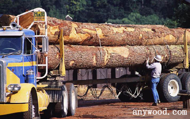 批木网 anywood.com