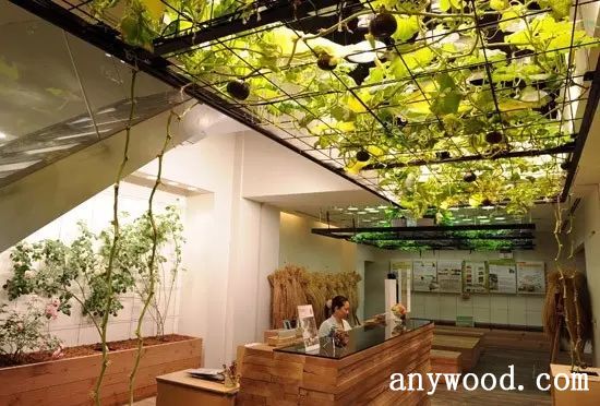 批木网 anywood.com