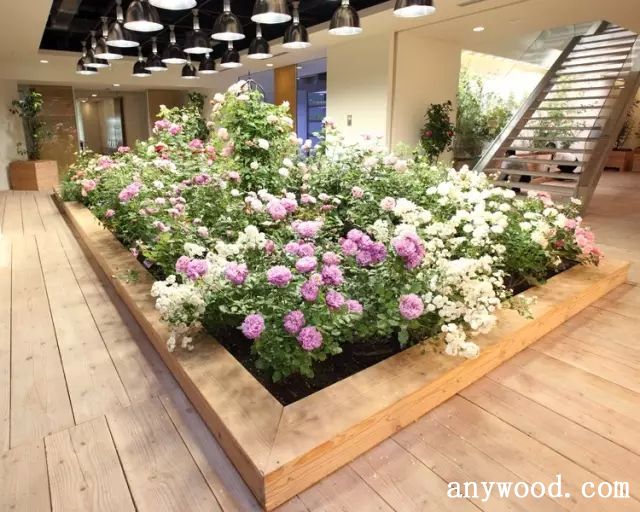 批木网 anywood.com