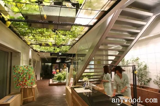 批木网 anywood.com