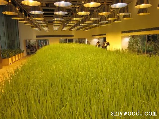 批木网 anywood.com