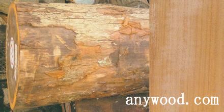 批木网 anywood.com