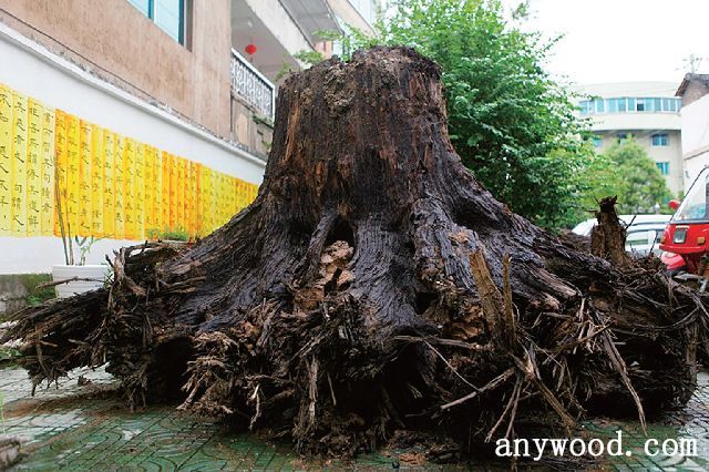 批木网 anywood.com