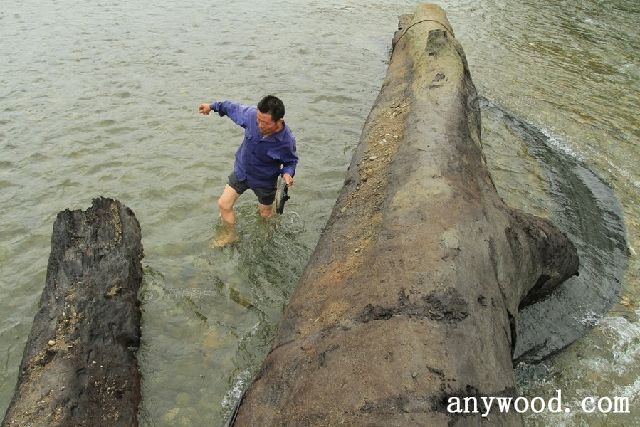 批木网 anywood.com
