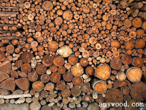 批木网 anywood.com