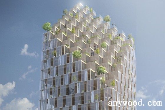 批木网 anywood.com