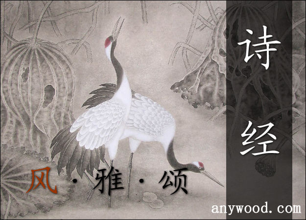 批木网 anywood.com