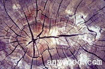 批木网 anywood.com