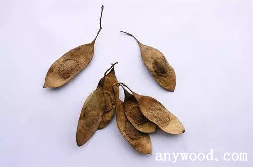 批木网 anywood.com