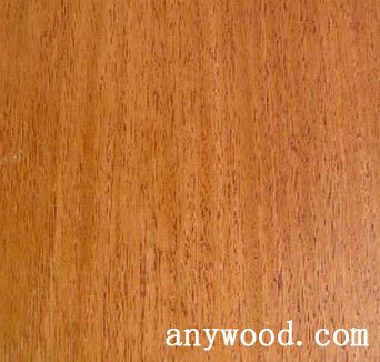 批木网 anywood.com