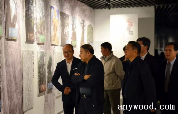 批木网 anywood.com