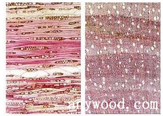 批木网 anywood.com