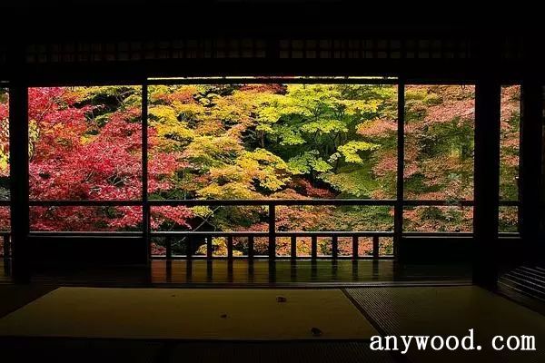 批木网 anywood.com