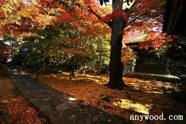 批木网 anywood.com
