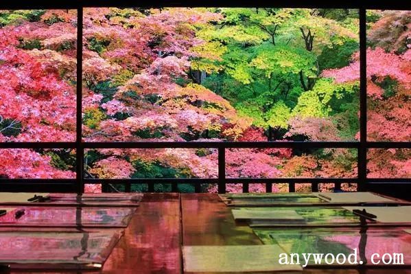 批木网 anywood.com