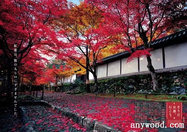 批木网 anywood.com