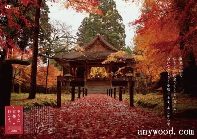 批木网 anywood.com