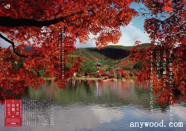 批木网 anywood.com