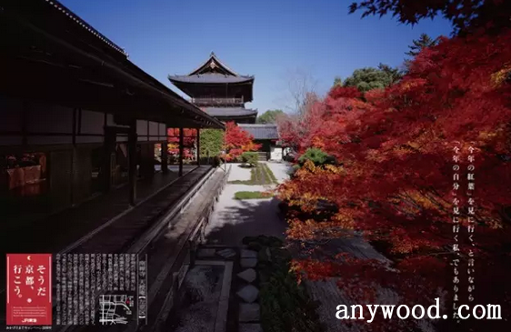 批木网 anywood.com