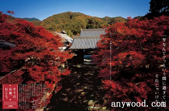 批木网 anywood.com