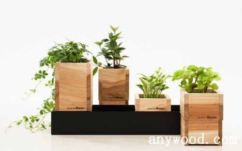 【批木网】anywood.com