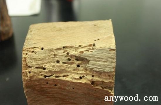 批木网 anywood.com