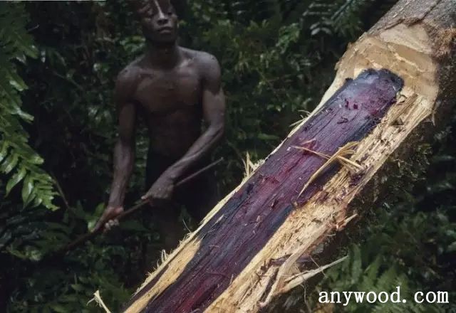 批木网 anywood.com