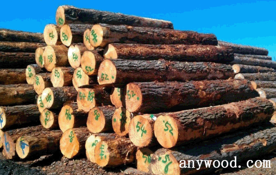 批木网 anywood.com