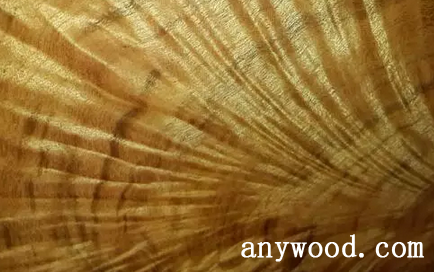 批木网 anywood.com
